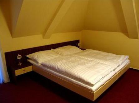 Staré Hory Hotel Altenberg חדר תמונה