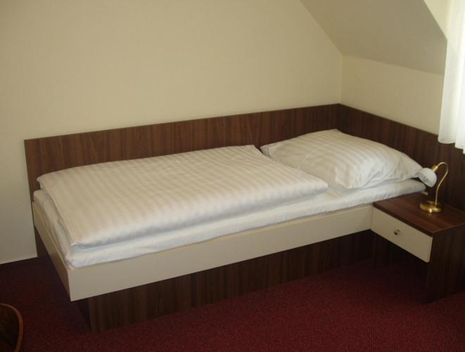 Staré Hory Hotel Altenberg חדר תמונה
