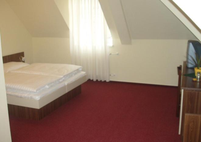Staré Hory Hotel Altenberg חדר תמונה